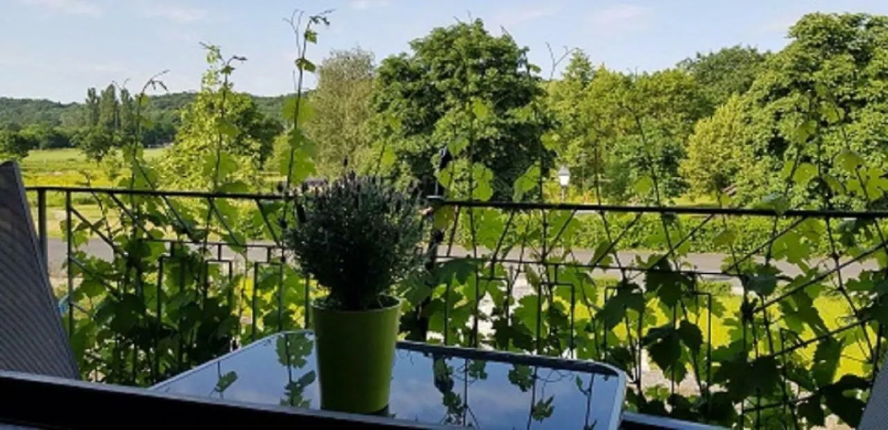 Apartment Ferienwohnung An Der Dorfmauer Sommerach